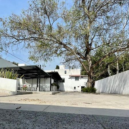 Casa Bonsai Acomodação com café da manhã Cidade do México Exterior foto