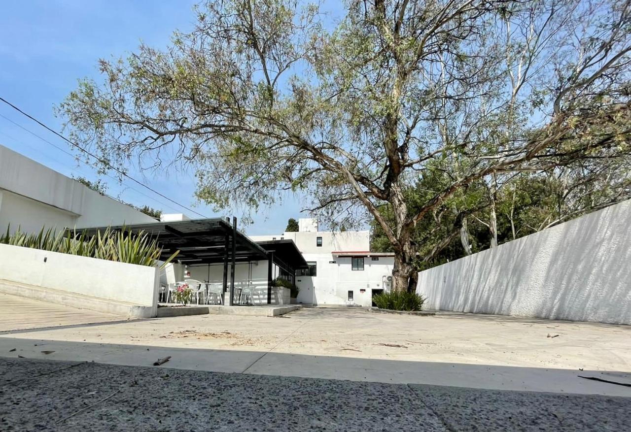 Casa Bonsai Acomodação com café da manhã Cidade do México Exterior foto