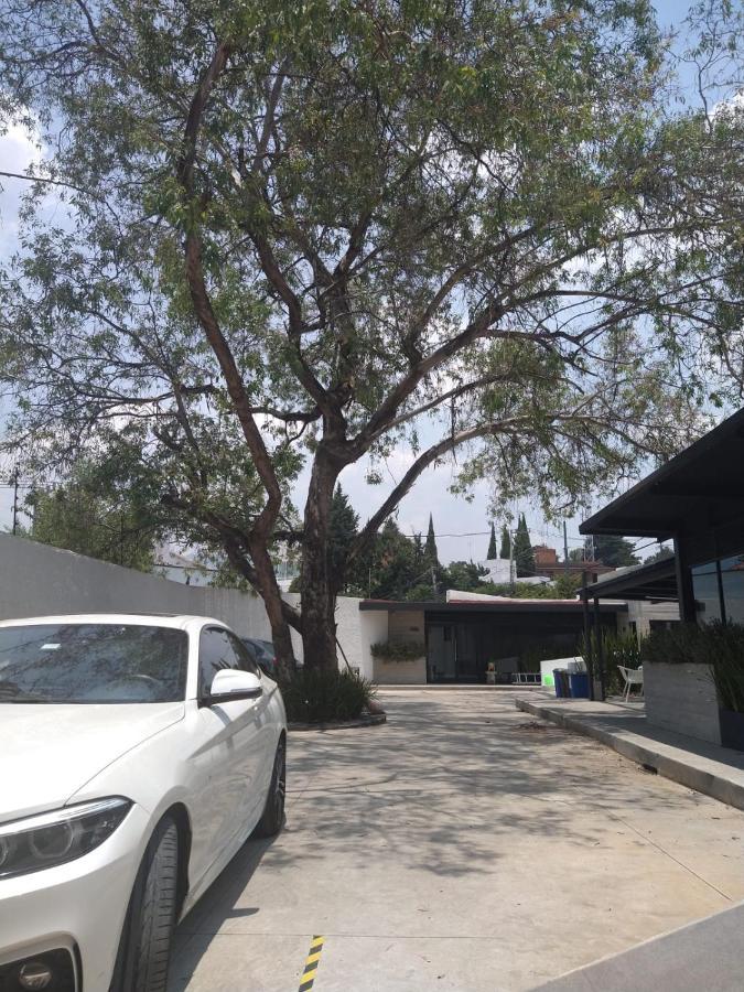 Casa Bonsai Acomodação com café da manhã Cidade do México Exterior foto